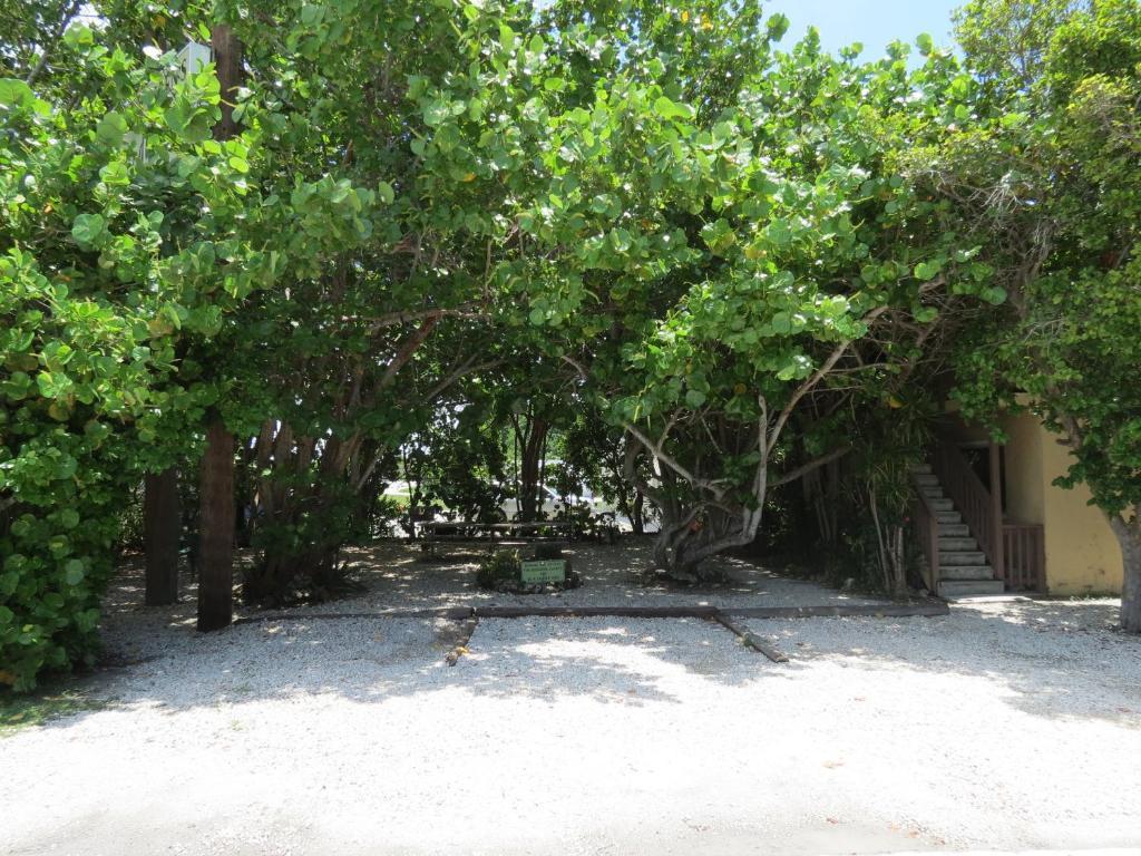 Ed & Ellen'S Lodgings Key Largo Motel Exterior photo
